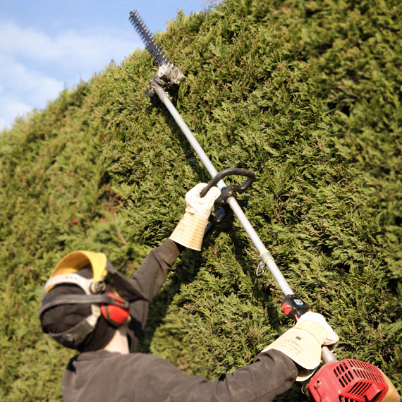 Harde wind Spruit herhaling Verhuur van telescopische heggenschaar op benzine 60 cm - Bestrent